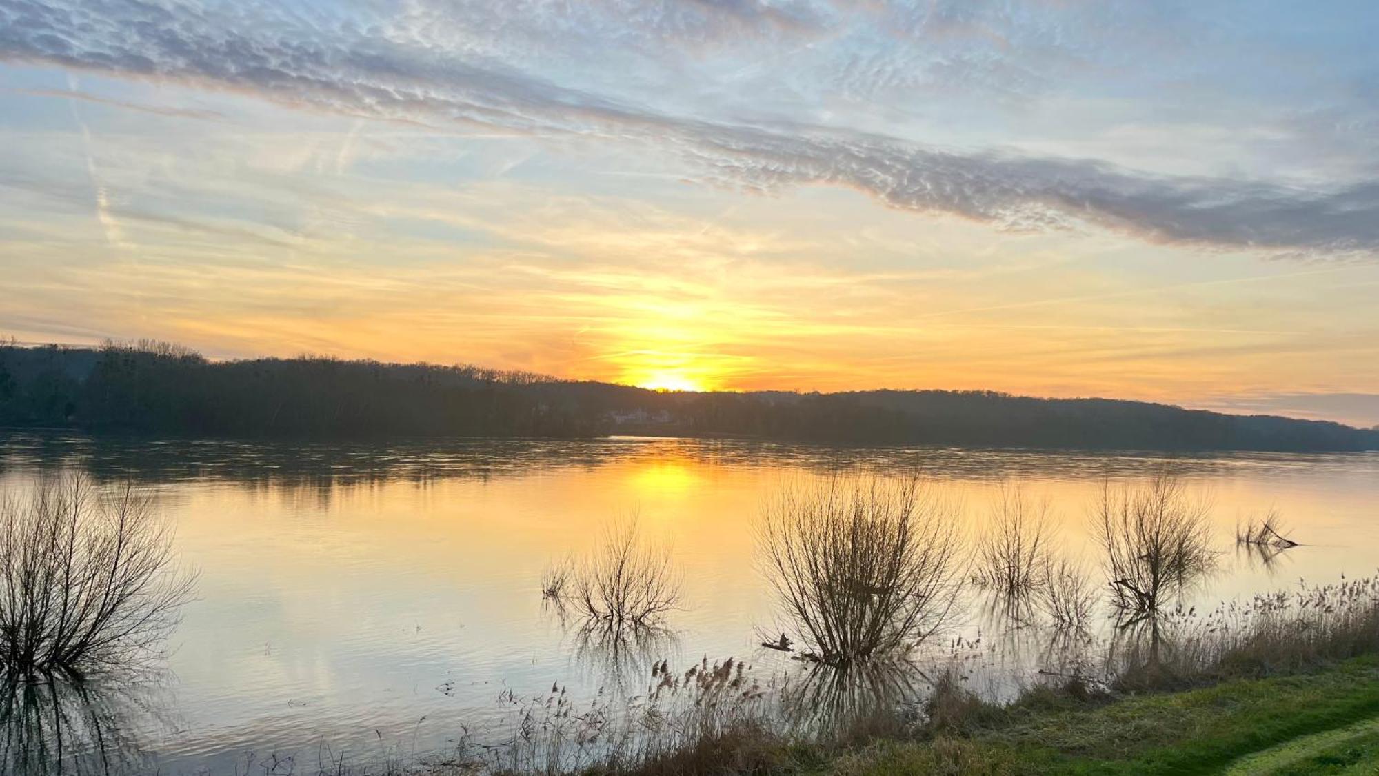 Un Mirage Tropical En Bord De Loire, Love Et Detente Saint-Clément-des-Levées Екстериор снимка
